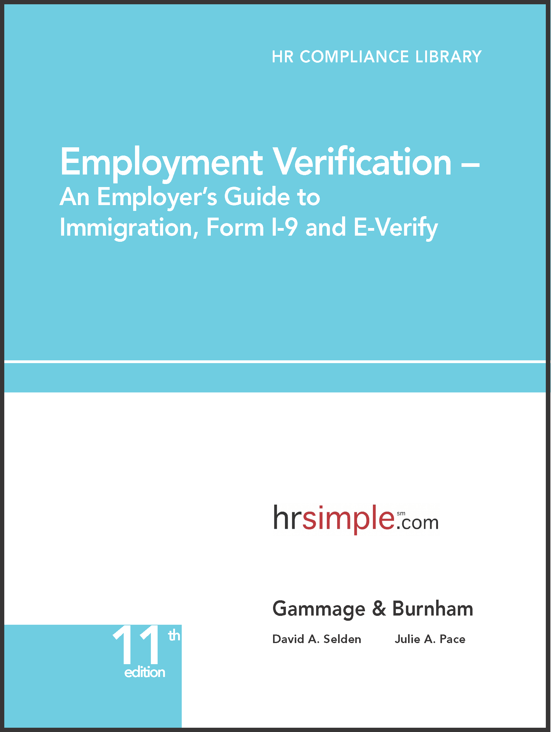 Decorative image for Employment verification – a simple audit