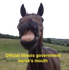 Decorative image for IL Wage history ban FAQs from the houses mouth