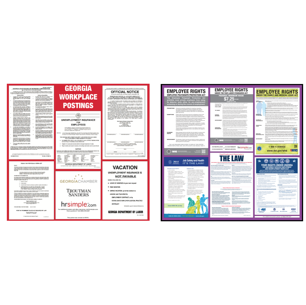 Georgia and Federal Poster employment law image, remote work, labor laws, employment laws, right to work, order of protection, minimum wage