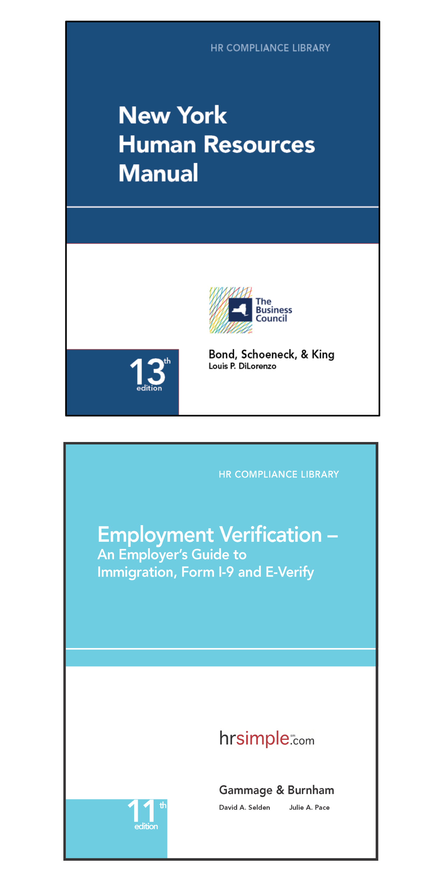 New York Human Resources Library with E-Verify employment law image, remote work, labor laws, employment laws, right to work, order of protection, minimum wage
