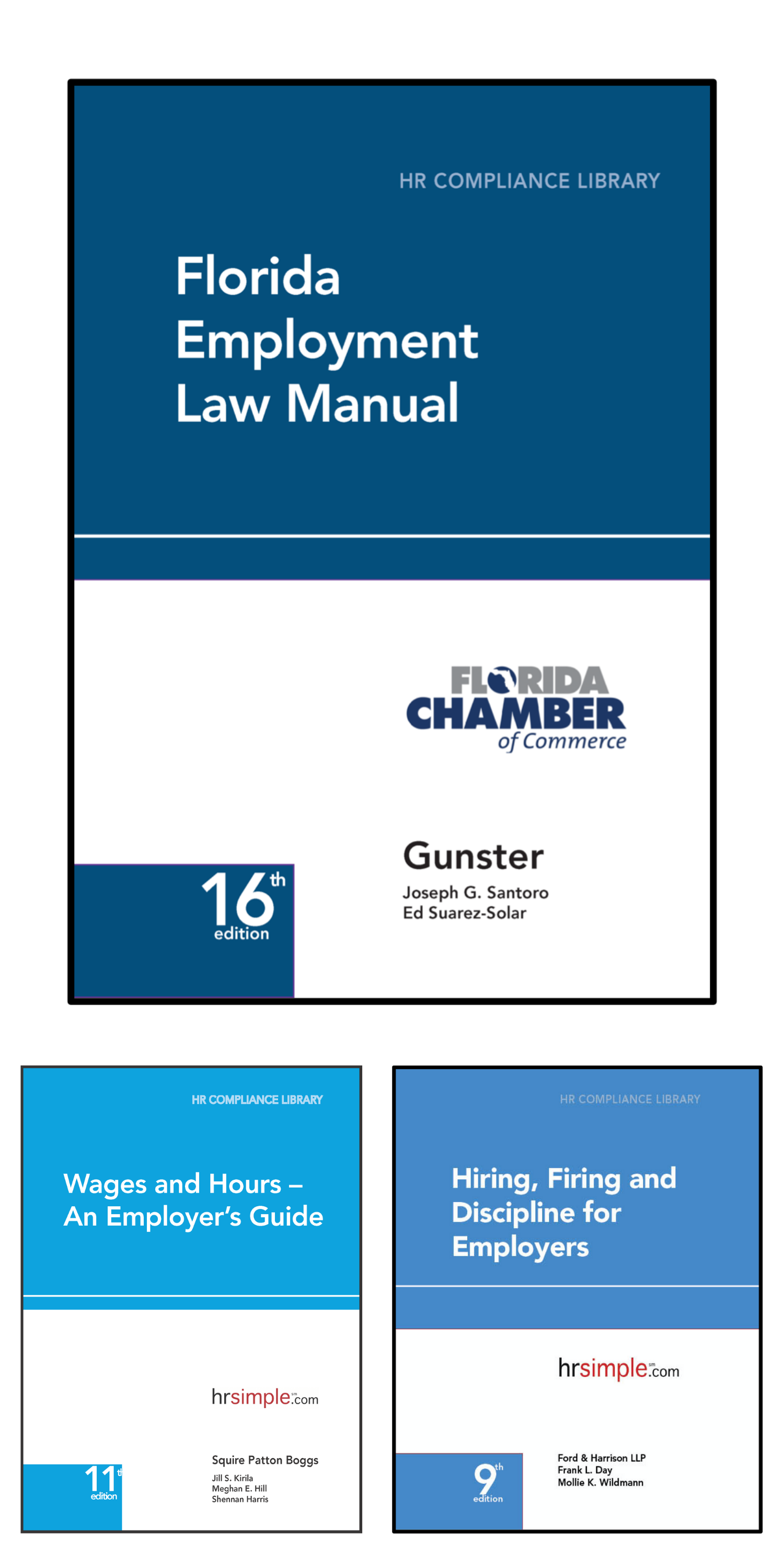 Florida Plus employment law image, remote work, labor laws, employment laws, right to work, order of protection, minimum wage