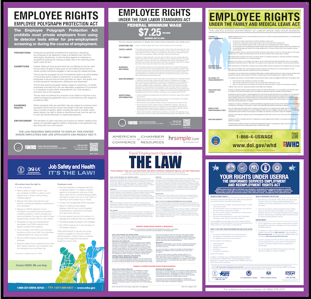 6-in-1 Federal Compliance Poster employment law image, remote work, labor laws, employment laws, right to work, order of protection, minimum wage